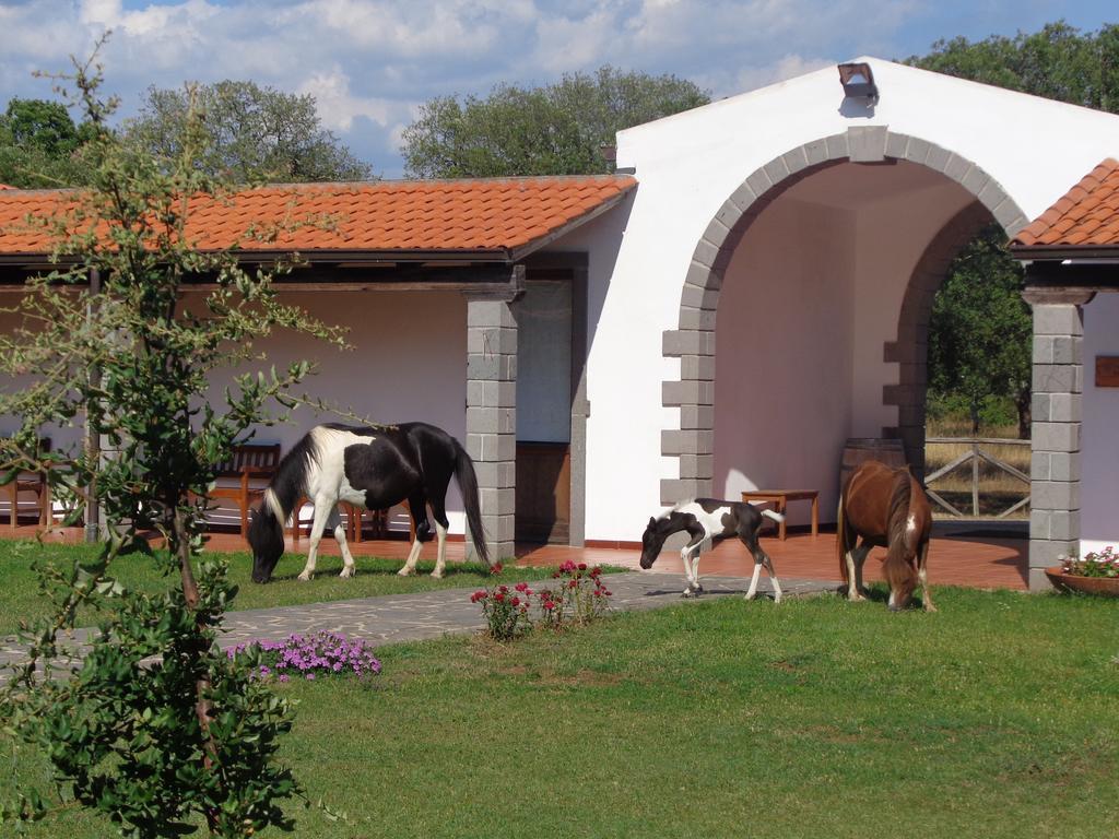 Hotel Su Baione Abbasanta Екстер'єр фото